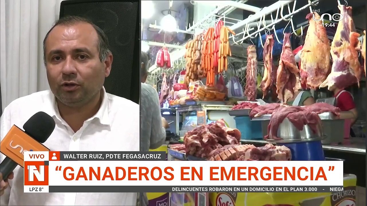 fegasacruz