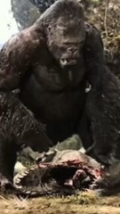 Andy Serkis a fait une chose pour interpréter au mieux King-Kong 😳