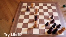 Chess study with zugzwang positions – Study by Peter Krug