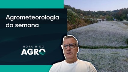 Por Dentro do Clima: geada no Sul e chuvas no Nordeste | HORA H DO AGRO