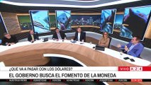 🔵GOBIERNO ARGENTINO BUSCA EL FOMENTO DE LA MONEDA