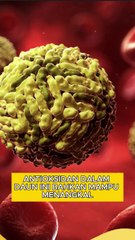 7 Manfaat Daun Pepaya, Bantu Cegah Penyakit Mematikan