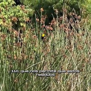 Alcaldía de Bogotá refuerza llamado ciudadano para proteger los humedales de residuos ilegales
