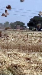 🤣🤣🤣🤣🤣🤣🤣 #fannyvideo #trending #couple #foryou #foryoupage #bdtiktokofficial #ফানি_ভিডিও😀😀😀😳মজা