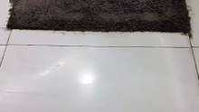 Carpet cleaning Service