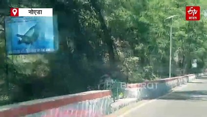 नोएडा में वन विभाग लगाने जा रहा है 10 लाख पौधे, 20 से ज्यादा विभागों की मदद से होगा वृक्षारोपण