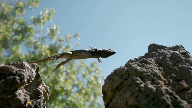 Islas Canarias. Las hijas del volcán - Teaser español