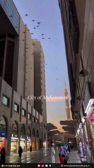 The City of Prophet Muhammad ﷺ 🌙