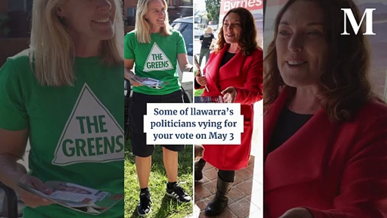Illawarra politician's vying for your vote