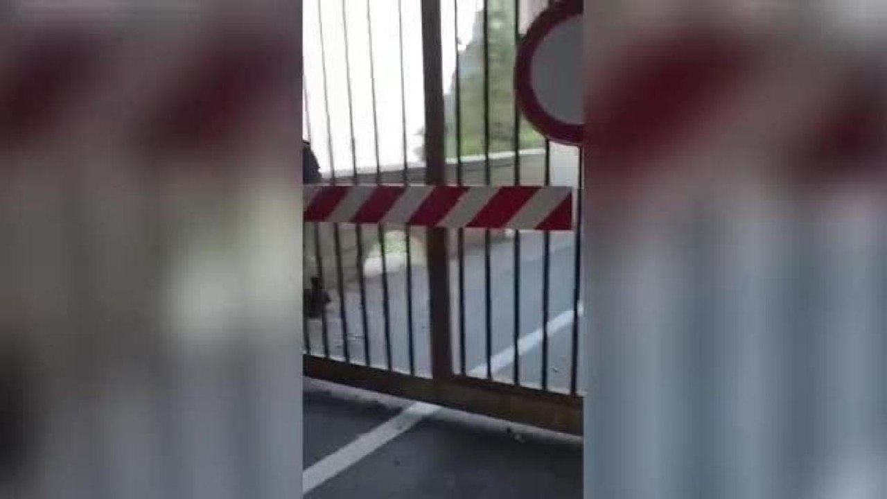 Riva del Garda, il video dei ciclisti spericolati sulla ciclovia del Garda: scavalcano le barriere e sfidano i divieti
