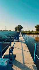 Walking Along the Rice Canal Regulator Naudero #maxrecords #larkana #sindh #pakistan