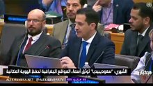 شاهد.."سعوديبيديا" تعرض تجربتها أمام خبراء الأمم المتحدة