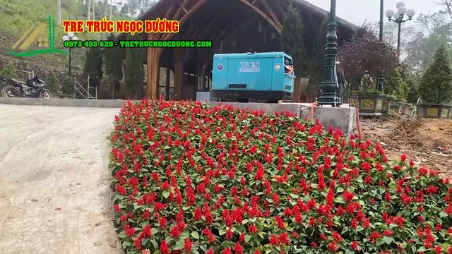 Thi Công Nhà Tre Trúc – Giải Pháp Kiến Trúc Bền Vững, Tiết Kiệm và Đẹp Mắt Tre Trúc Ngọc Dương