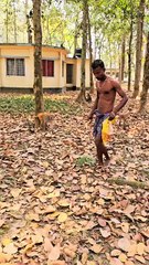 Monkey funny video dailymotion comedy entertainment