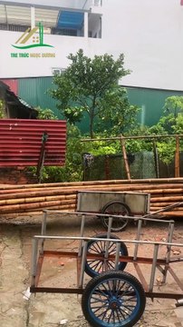 Tre Trúc – Xu Hướng Kiến Trúc Xanh Được Ưa Chuộng Trong Thời Đại Mới Tre Trúc Ngọc Dương