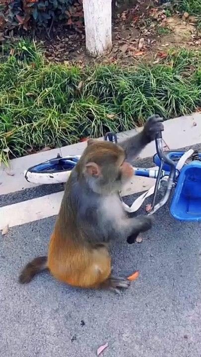 WANNA RIDE? 🤪