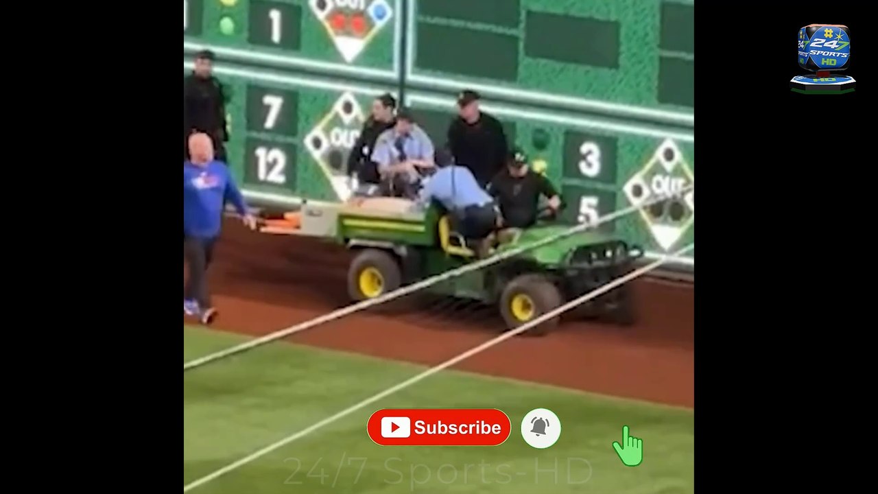 Horrifying moment MLB fan plunges from the stands and crashes onto field mid-game