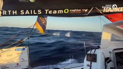 Transat Paprec 2025 : RÉCAP - Derniers milles avant La Palma !