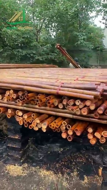 Quy Trình Hun Khói Chống Mối Mọt Cho Tre Trúc – Bí Quyết Để Xây Dựng Nhà Tre Bền Vững Tre Trúc Ngọc Dương