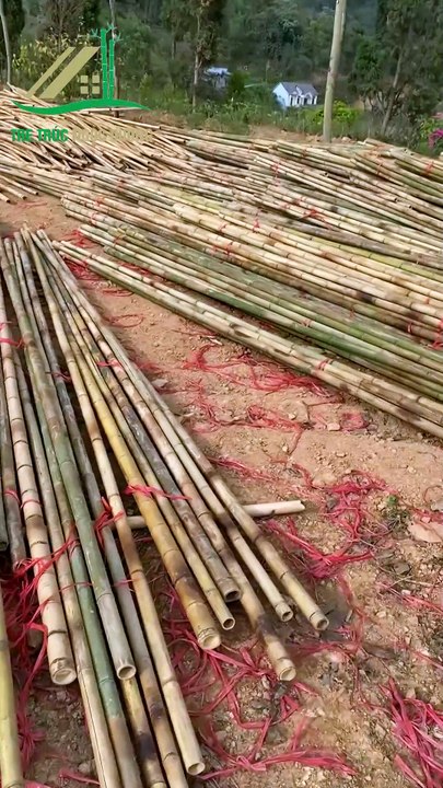 Kỹ Thuật Uốn Tre Làm Khung Cột Nhà Tre – Tạo Hình Độc Đáo Và Bền Vững Tre Trúc Ngọc Dương