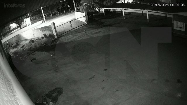 Câmeras de segurança flagram furto de fios de cobre em escola municipal de Cascavel