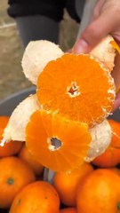 Let s enjoy beautiful nature life 🍎🍓🍇🍒🍊  #shorts #nature #fruit