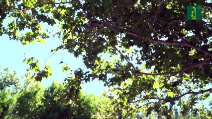 Gobierno de EEUU pide el desmantelamiento del negocio de publicidad de Google