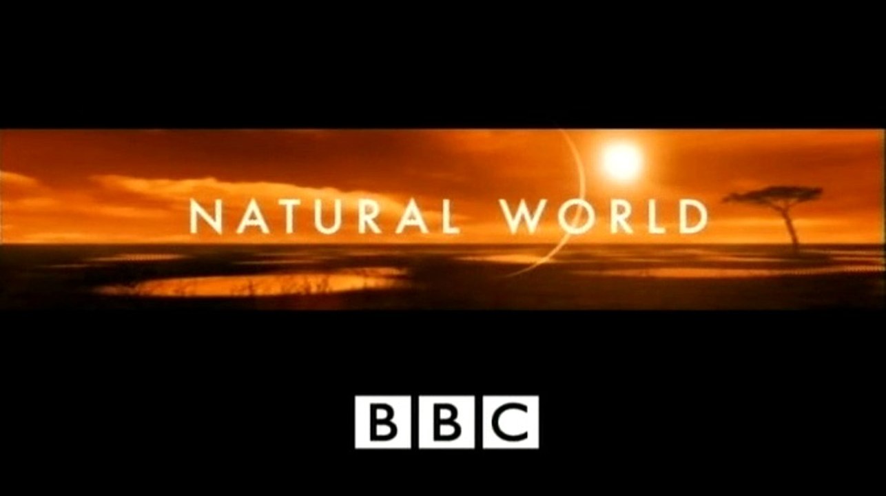 BBC Natural World - Toki's Tale