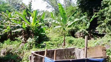 Sumber nagan singosari