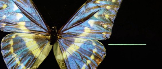 Gwendoline (1984) - Adventure & Action Film