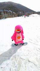 Most Beautiful Please in the ✨ Canada, china and India 😱 #travel #adventure #explor_1080p60