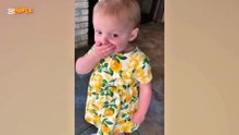 Funny Baby Videos