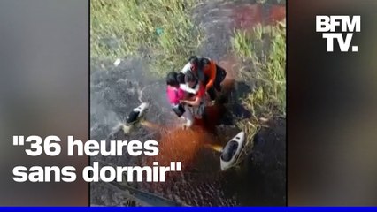 Bolivie: 36h encerclés par des caïmans après le crash de leur avion