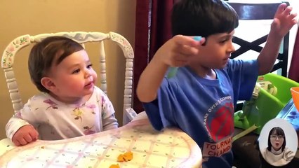 Top 10 Cutest Animals and BaBy Videos of 2025 – Funny, Heartwarming, and Viral!