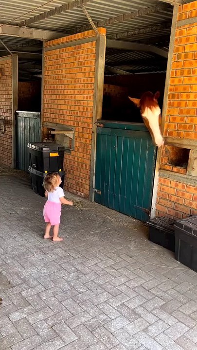 cutest little baby love animals 😍 #viralvideo #shortvideo #viralshort #funnyvideo #shorts