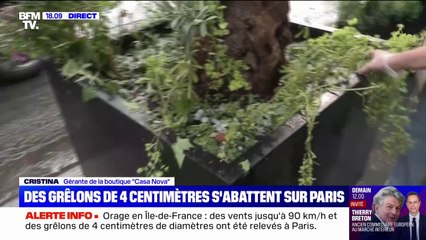 Les habitants constatent les dégâts après l'orage de grêle qui a frappé l'Île-de-France