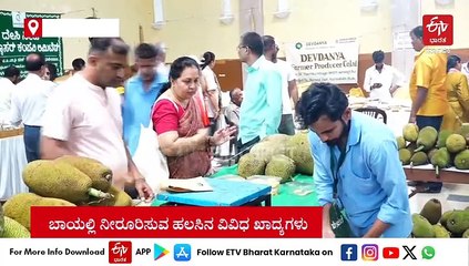 ಆಹಾ ಹಲಸು! ಸಾಂಸ್ಕೃತಿಕ ನಗರಿಯಲ್ಲಿ ಬೀರುತ್ತಿದೆ ಘಮಲು; ಯಾರಿಗೆ 'ಸದಾನಂದ', ಇನ್ಯಾರಿಗೆ ಜೇನು ಹಲಸು!