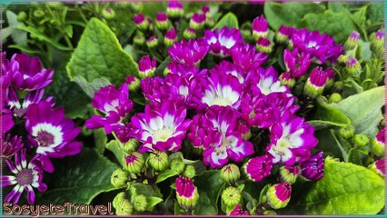 Gezginlere İlham Verecek Seyahat İle İlgili Sözler