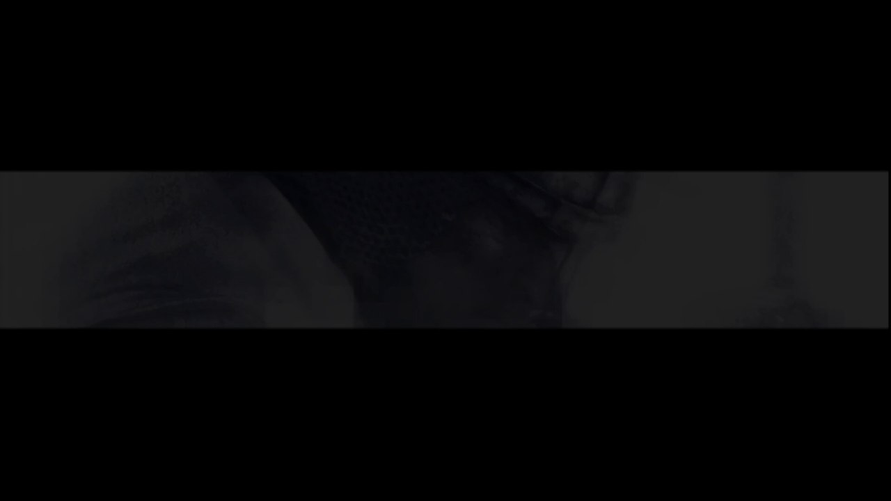 "Une Lame dans l'Ombre" (Assassin's Creed) | [FR] [Chanson Original]