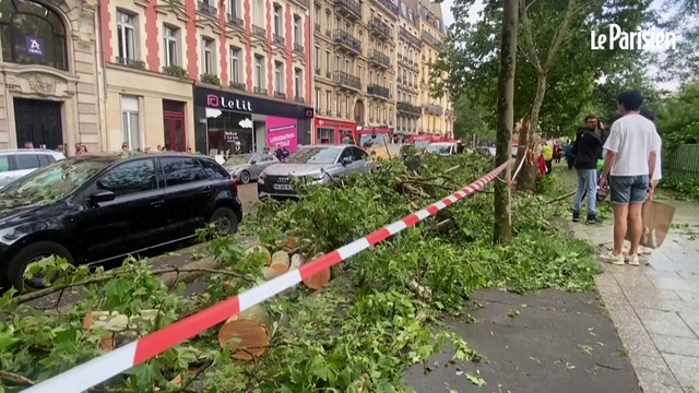 Orages à Paris : des arbres foudroyés endommagent des voitures