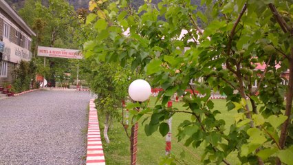 beautiful natural view