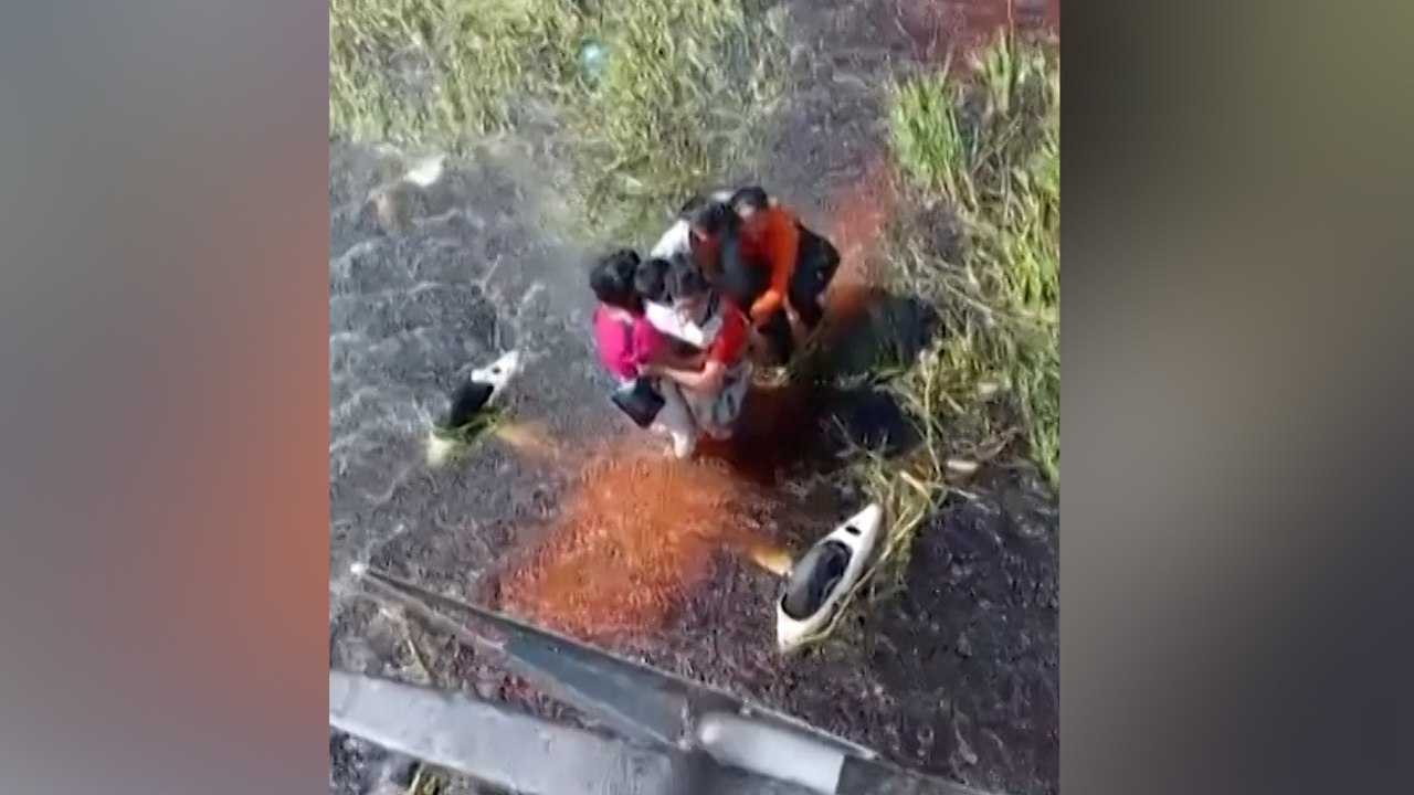 Ils survivent 36 heures dans un marais infesté de caïmans