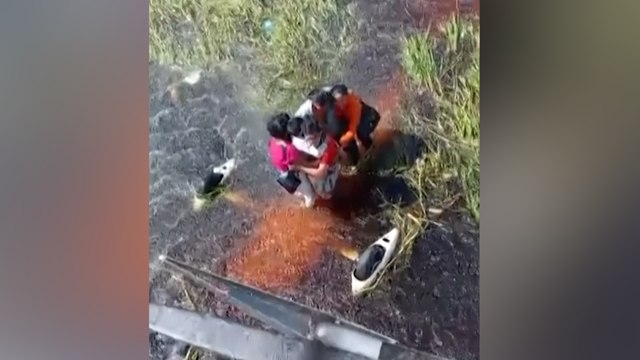 Ils survivent 36 heures dans un marais infesté de caïmans