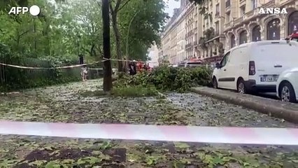 Tempesta di grandine su Parigi, alberi caduti in strada