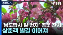 '남도답사 일 번지' 봄꽃 잔치...상춘객 발길 이어져 / YTN