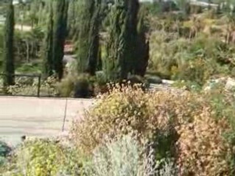 Jardin botanik barcelone