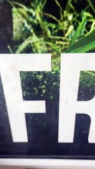 BPFron apreende mercadorias estrangeiras em ônibus na rodoviária de Umuarama