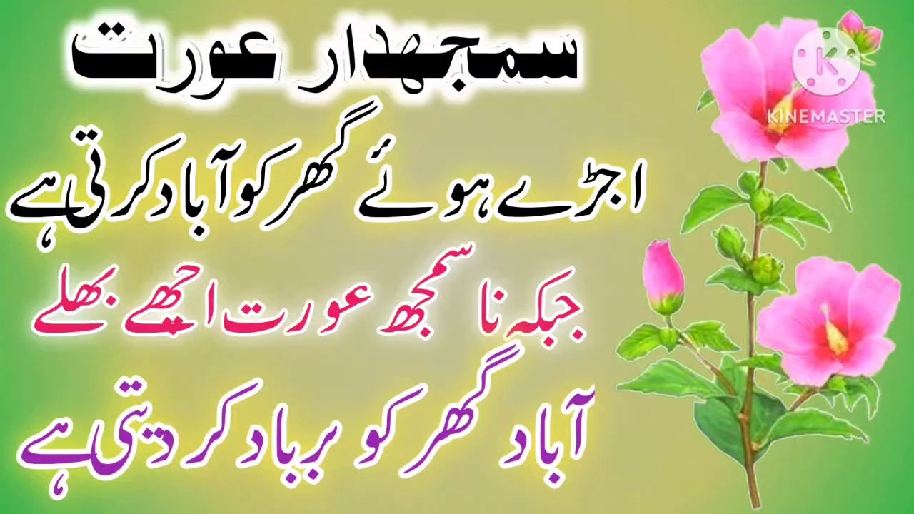 Samajhdar Aurat Quotes In Urdu💯! Golden Words In Urdu💥! Anmol Quotes In Urdu🔥! ISLAMIC URDU MEWAT