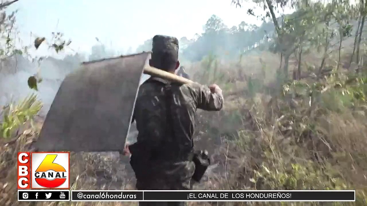 ICF advierte sobre aumento de incendios forestales y bruma en el país