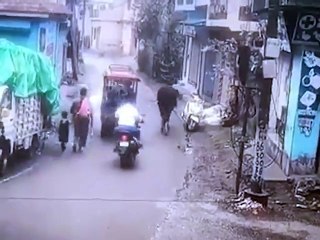 🐮 Cow Caught "Stealing" Motorcycle... But Wait Till You See Why! 😂
